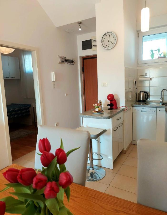 Lana Apartment سبليت المظهر الخارجي الصورة